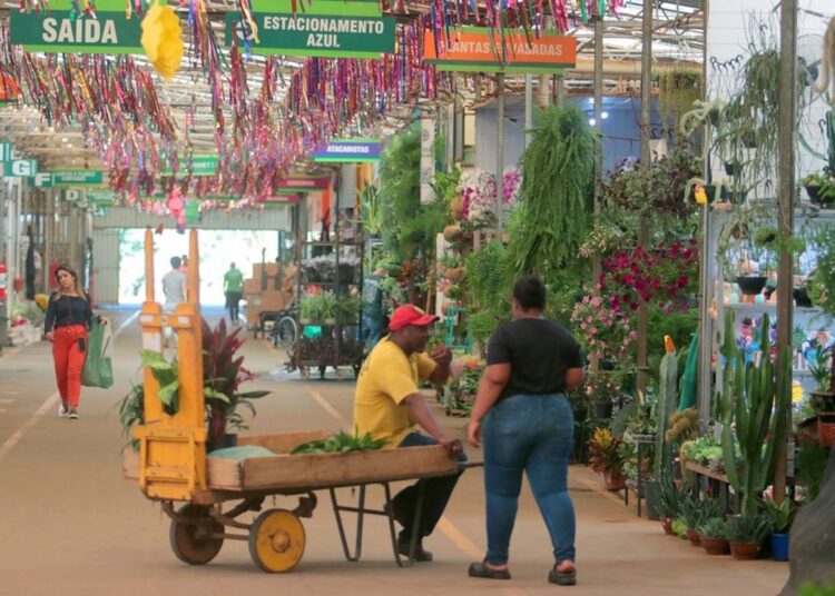 Feira de Noivas no Mercado de Flores