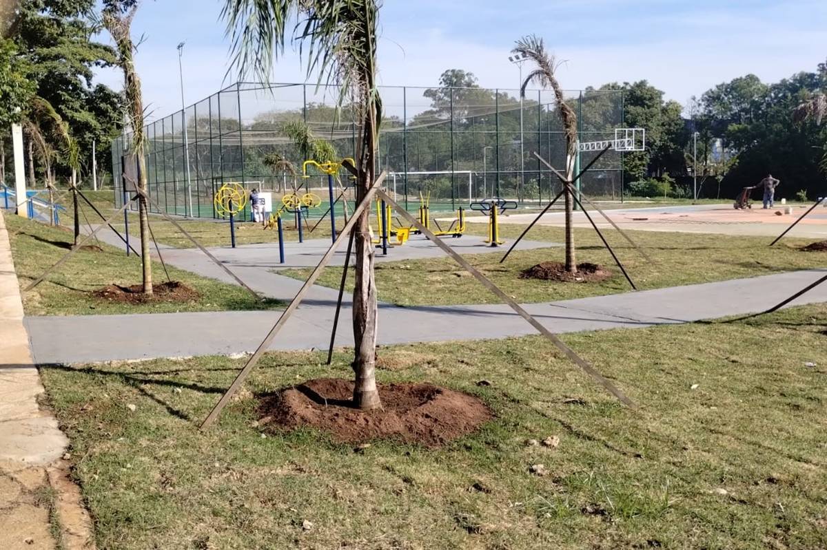 Parque do Jardim Amanda