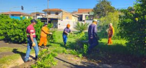 Corte de arbustos na Praça do Jardim Minda promete trazer mais segurança à população do bairro