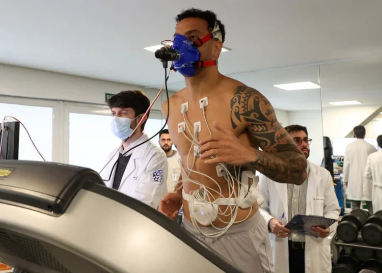Palmeiras