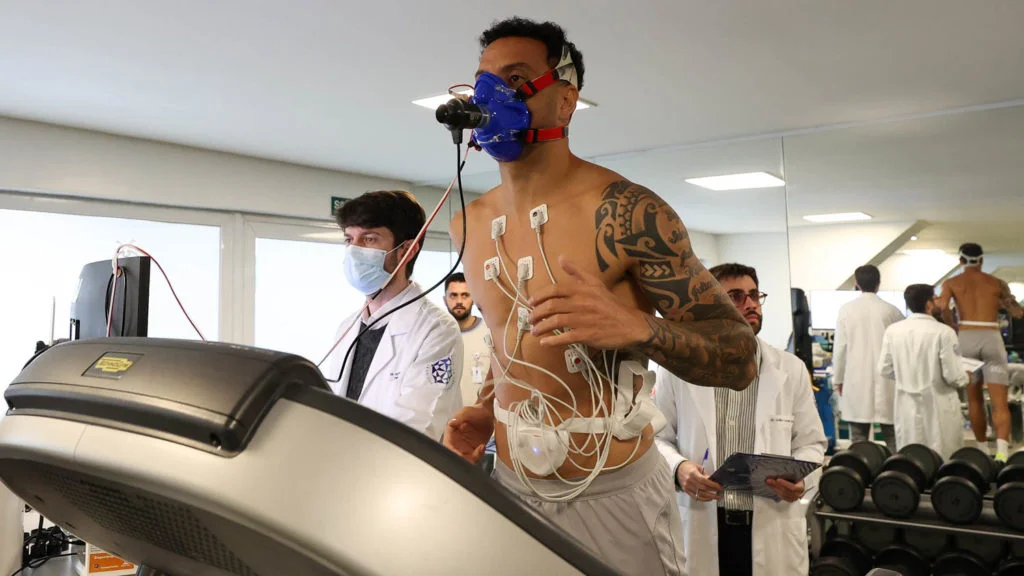 Palmeiras