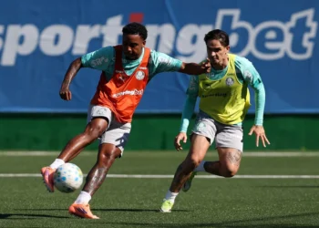 Palmeiras