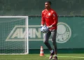 Palmeiras