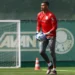 Palmeiras