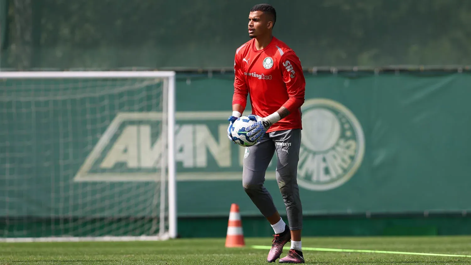 Palmeiras