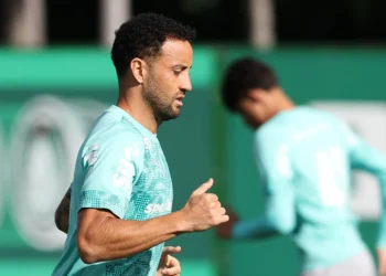 Palmeiras