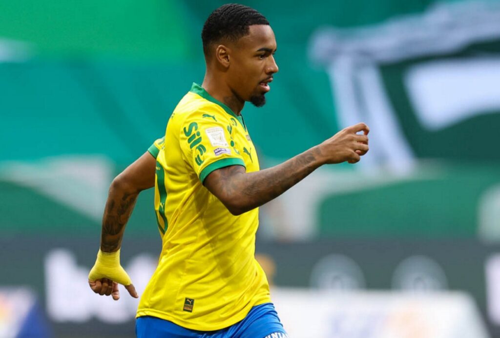 palmeiras