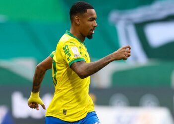 palmeiras