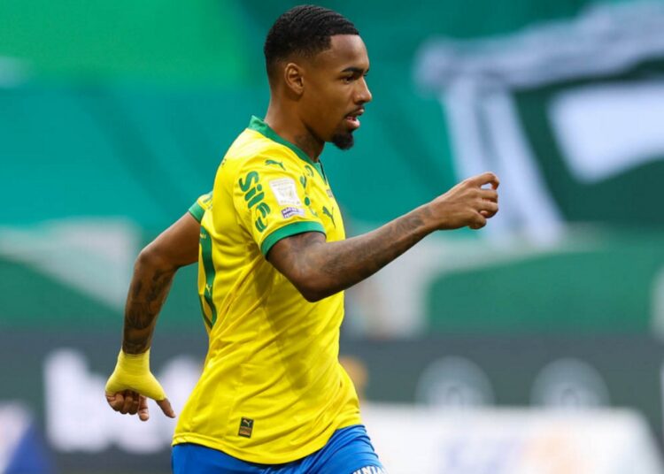 palmeiras