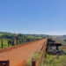 Ponte do esqueleto - limeira