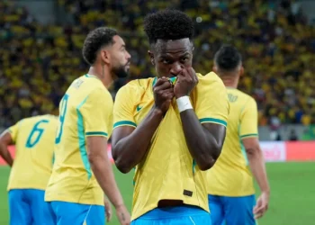 Brasil Vini jr