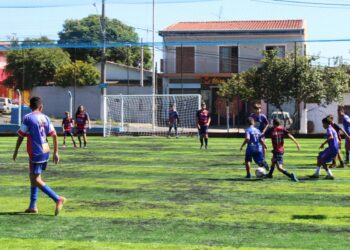 HORTOCOPA de Futebol Society