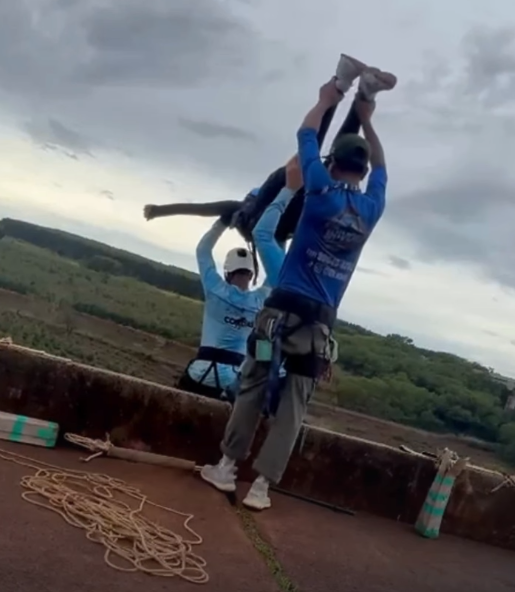 Rope jump em Limeira: jovem morre após salto