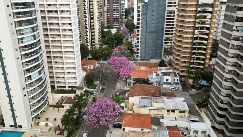 ipês
