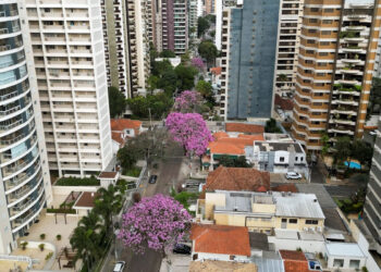 ipês