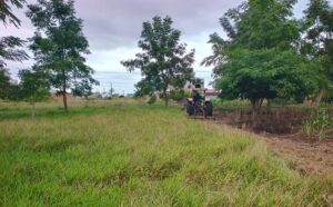 Hortolândia intensifica limpeza e manutenção de áreas públicas em diferentes bairros