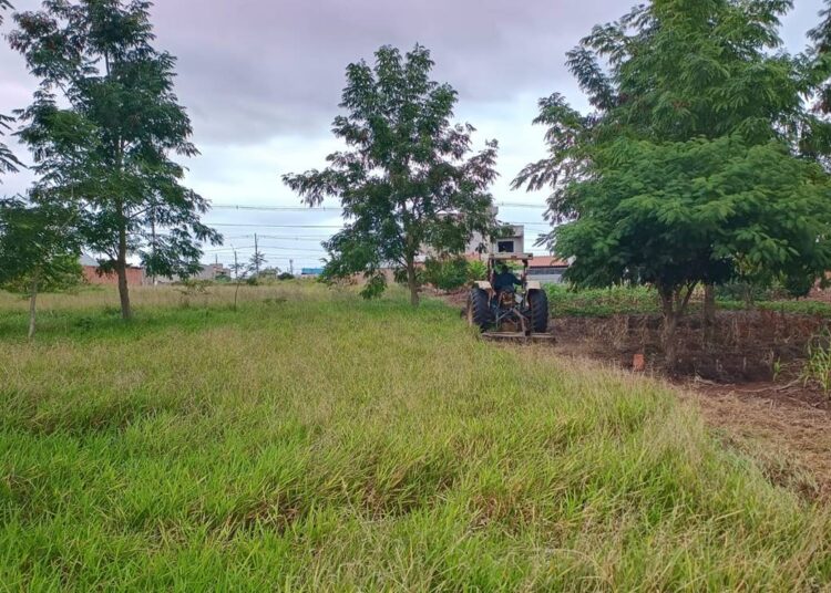 Hortolândia
