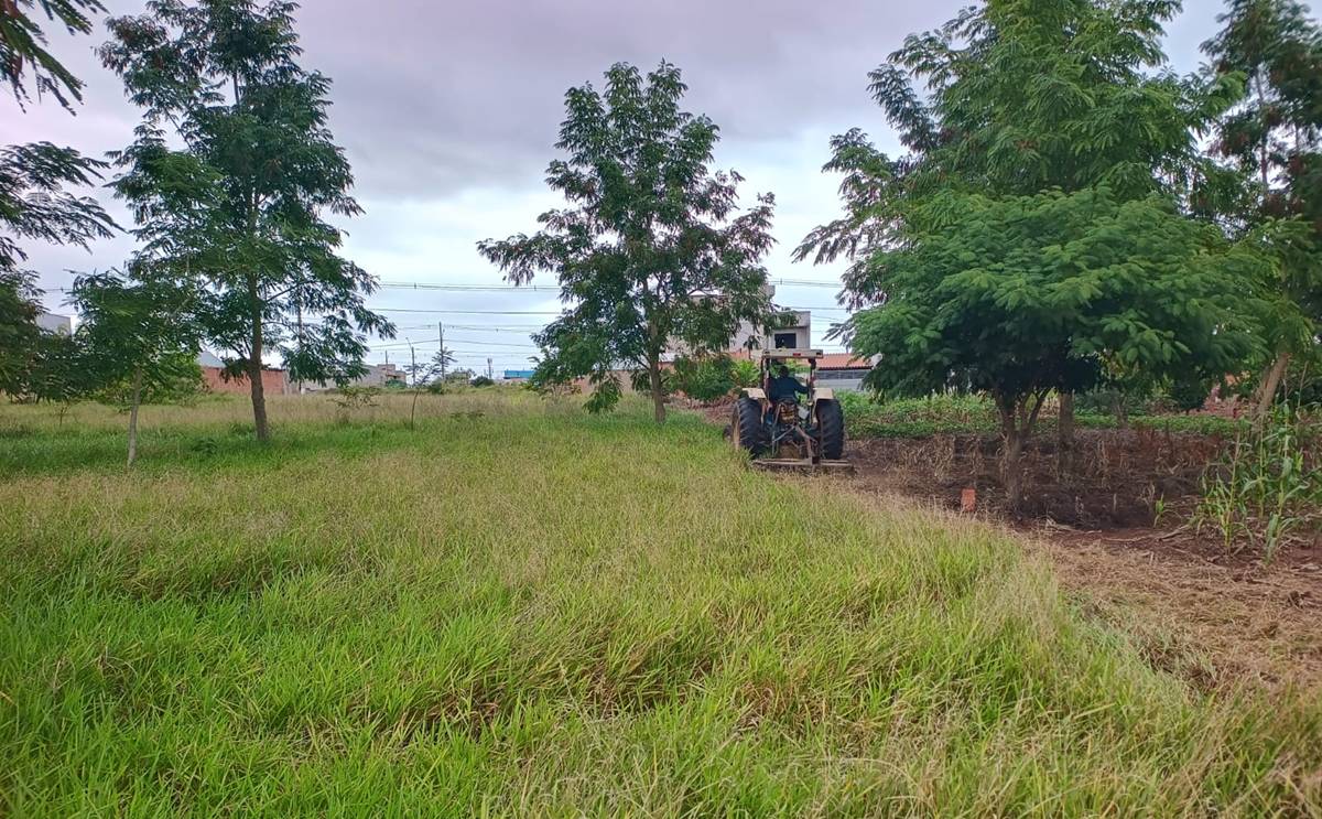 Hortolândia