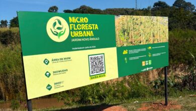 microfloresta urbana