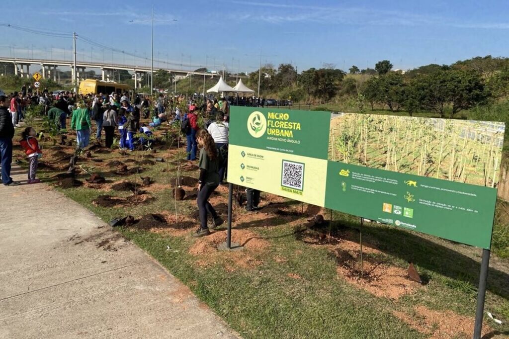 microfloresta urbana
