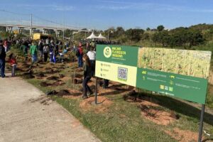 Hortolândia planta 360 árvores e inaugura terceira microfloresta urbana da cidade