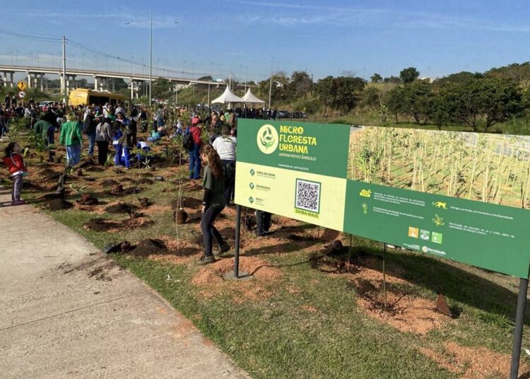 microfloresta urbana