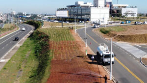 O que é uma microfloresta urbana? Hortolândia implanta nova área verde com 360 árvores