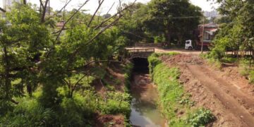 ponte do Jardim Ricardo
