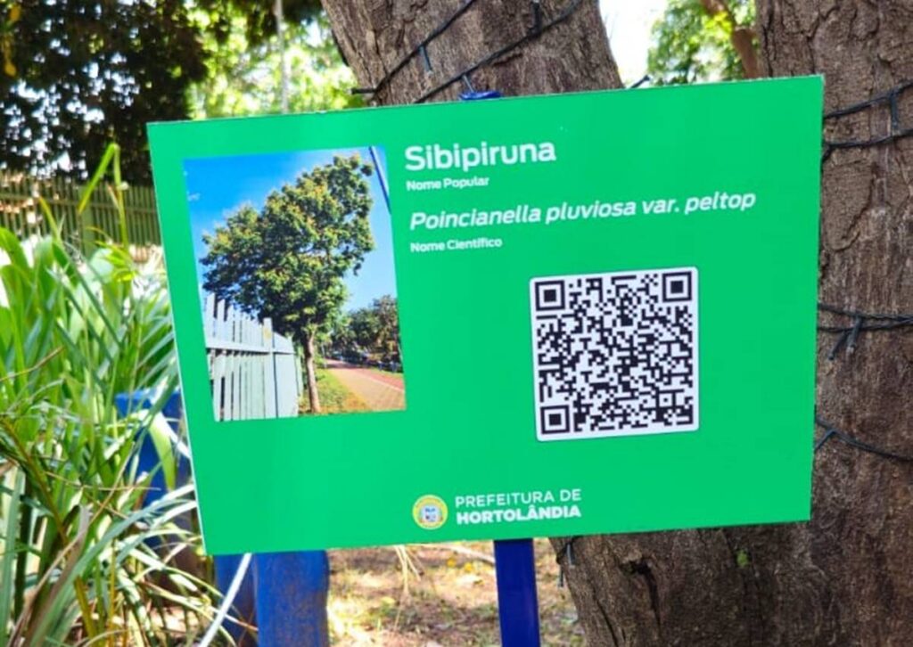 QR Codes