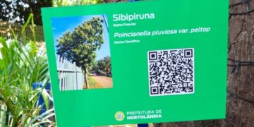 QR Codes