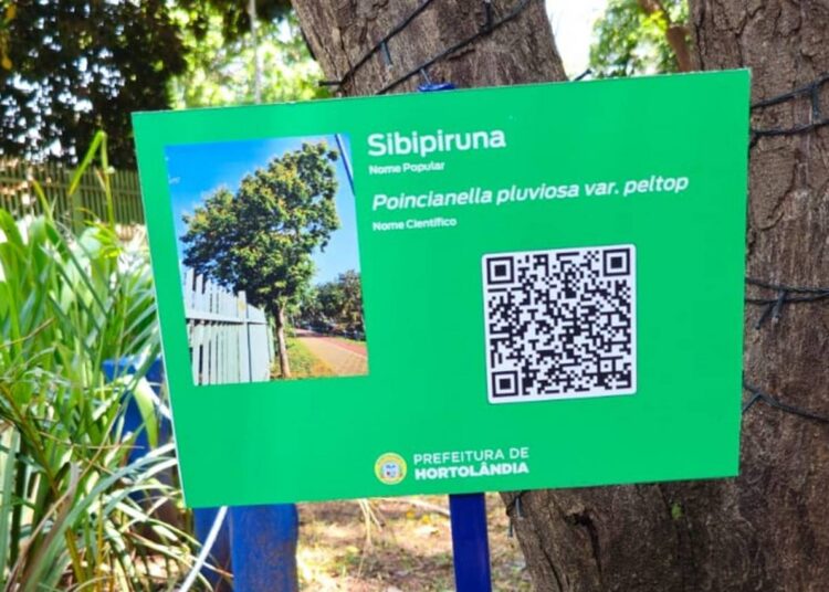 QR Codes