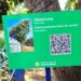 QR Codes