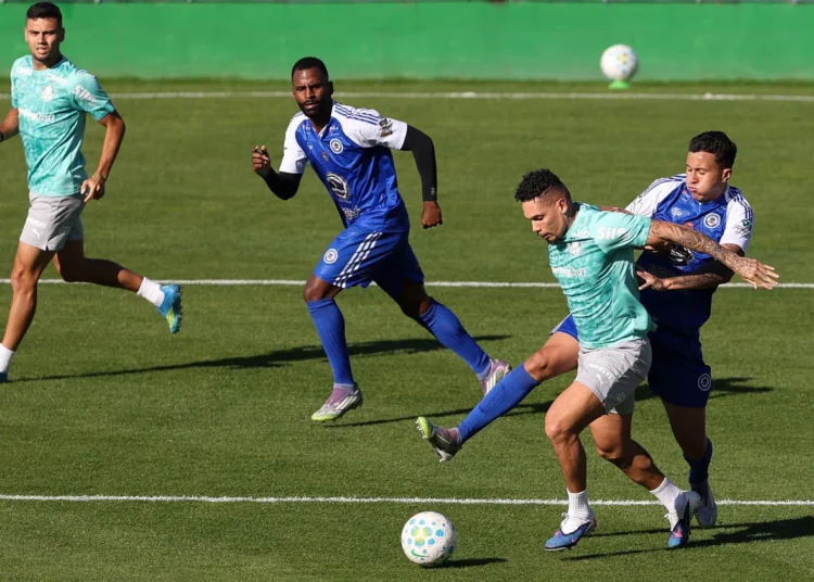 Cesar Greco / Palmeiras