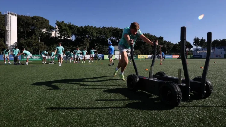 Palmeiras