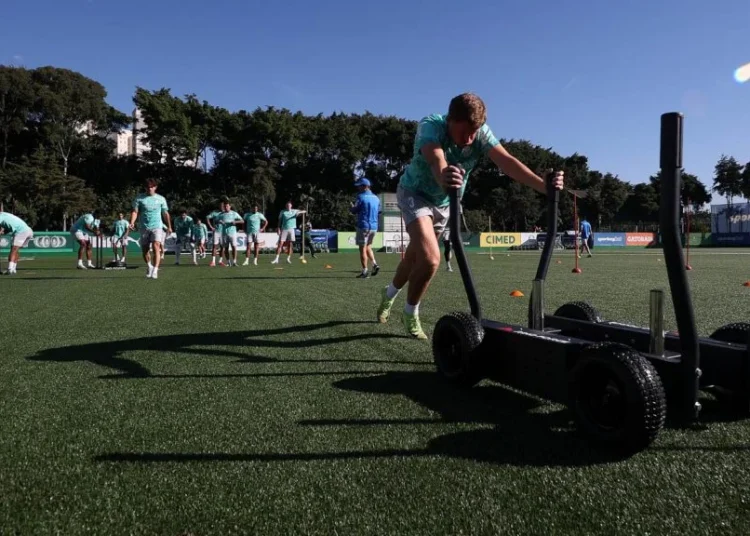 Palmeiras