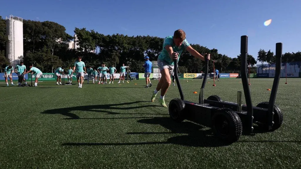 Palmeiras