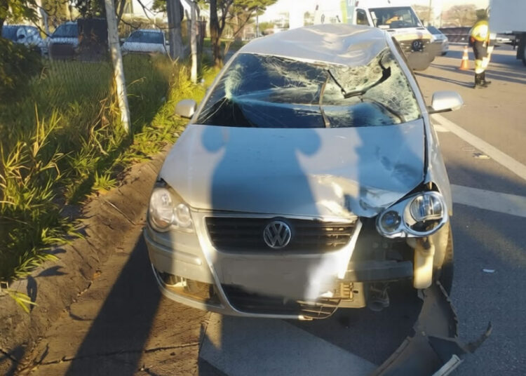 Rascunho automático