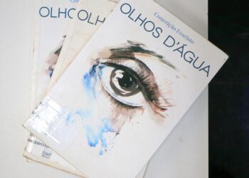 Livro disponível para leitura na Biblioteca Zink em Campinas