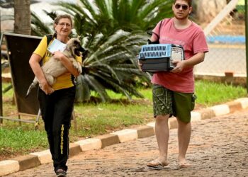 Tutor apresenta documentos para atendimento veterinário