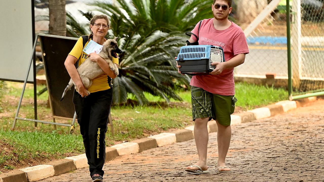 Tutor apresenta documentos para atendimento veterinário