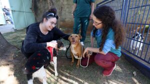 Sete animais ganham lares na primeira edição do DPBEA de Portas Abertas