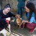 Oportunidade para se aproximar dos animais disponíveis para adoção