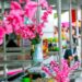 Visitantes poderão conhecer o bazar oriental com produtos típicos, cultura, tradição e gastronomia