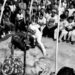 Rodas de Capoeira, vivências e atividades culturais integram a programação gratuita da Semana da Capoeira de Campinas