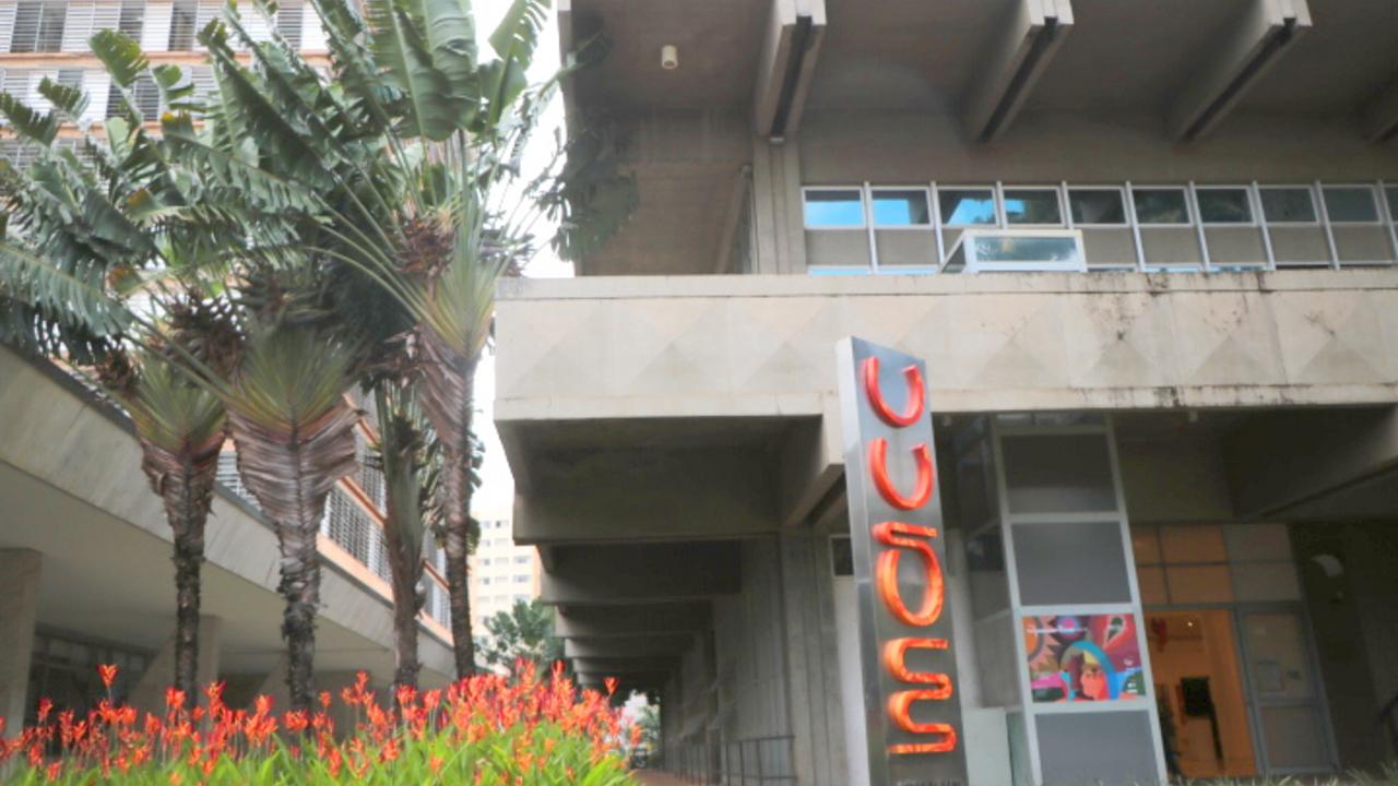 Oficina no Museu de Arte Contemporânea com jovens visitando exposição sobre mulheres no século 20