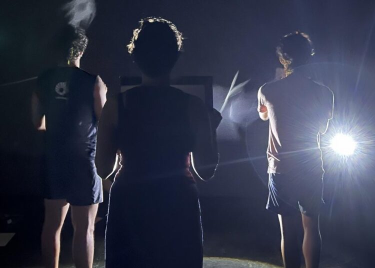 Núcleo de Pesquisa em Luz&Sombra realiza programação gratuita sobre Teatro de Sombras contemporâneo