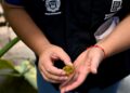 Objetivo do alerta é reforçar verificação de criadouros e combate ao mosquito Aedes aegypti em 38 bairros de risco