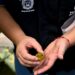 Objetivo do alerta é reforçar verificação de criadouros e combate ao mosquito Aedes aegypti em 38 bairros de risco