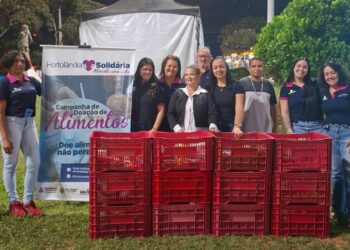 arrecadação de alimentos