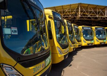 Ônibus urbanos em operação